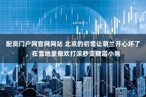 配资门户网官网网站 北京的初雪让萌兰开心坏了，在雪地里撒欢打滚秒变糖霜小熊